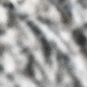 Meet your Posher, Dylan